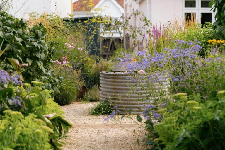 gravel_garden_planting_bristol