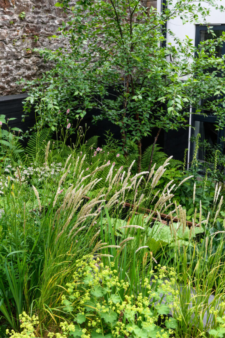 Japenese_inspired_garden-34