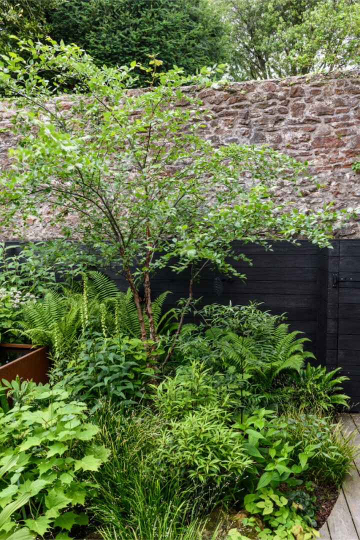 Japenese_inspired_garden-39